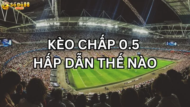 Khái Niệm kèo chấp Sodo88