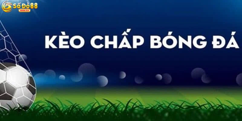 cach-doc-cac-loai-keo-chap-pho-bien-tai-sodo88 Cách Đọc Các Loại Kèo Chấp Phổ Biến Tại Sodo88