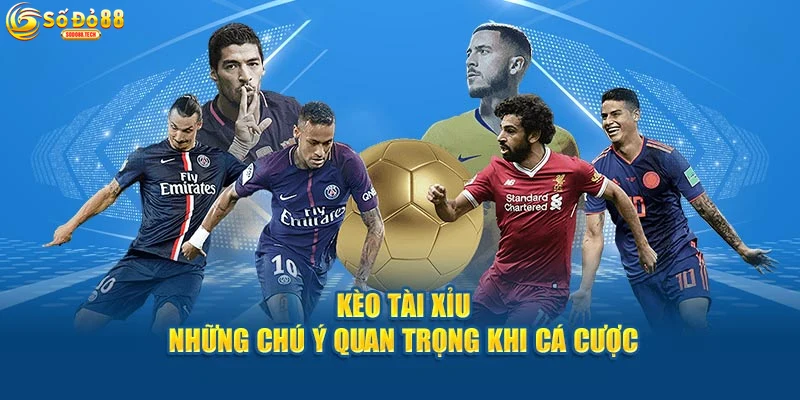 phan-tich-thong-ke-va-xu-huong-keo-tai-xiu Phân Tích Thống Kê Và Xu Hướng Kèo Tài Xỉu