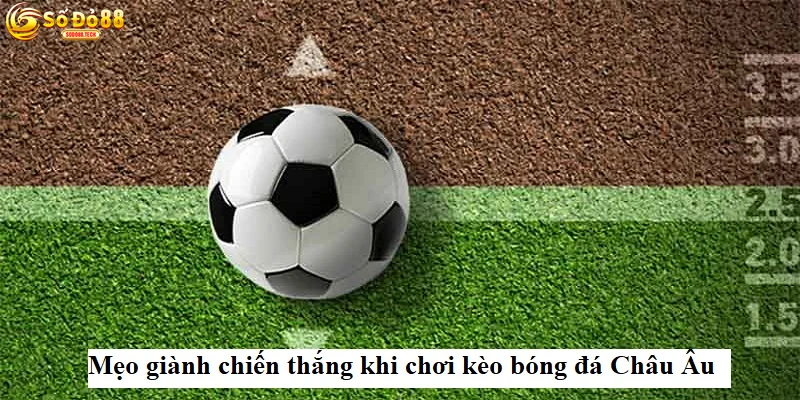 cach-doc-bang-keo-chau-au-sodo88-ung-dung-va-meo-cuoc-hieu-qua Cách Đọc Bảng Kèo Châu Âu Sodo88: Ứng Dụng Và Mẹo Cược Hiệu Quả