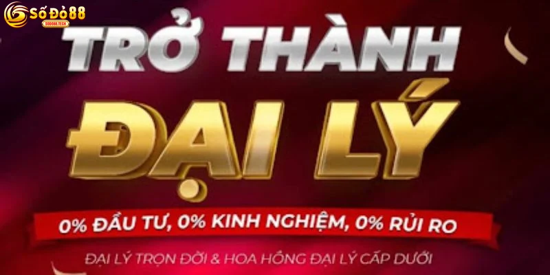 Các Lưu Ý Và Hỗ Trợ Khi Là Đại Lý Sodo88
