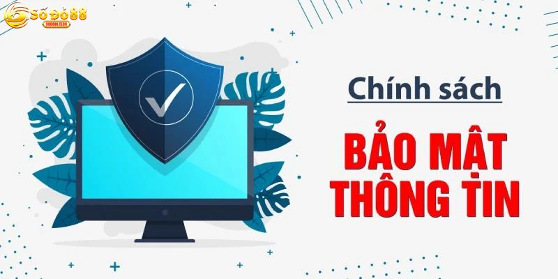 Chính Sách Bảo Mật Sodo88: Quyền Lợi Và Cam Kết